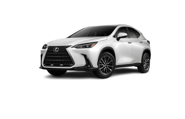 2022+ Lexus NX