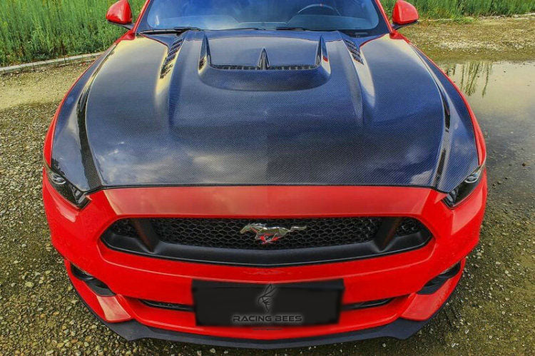 2015-2017 Ford Mustang GTS Style Hood (Carbon Fiber)