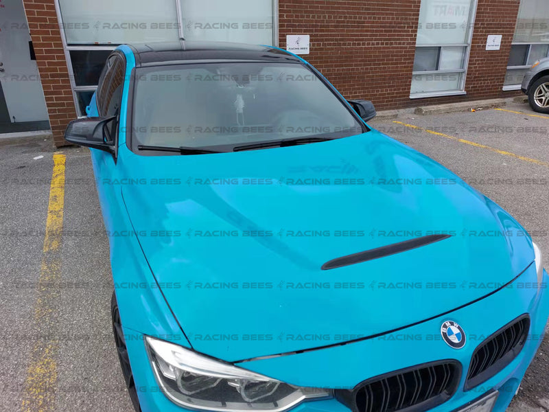 2012-2018 BMW F30/F32 3/4 Series GTS Style Hood
