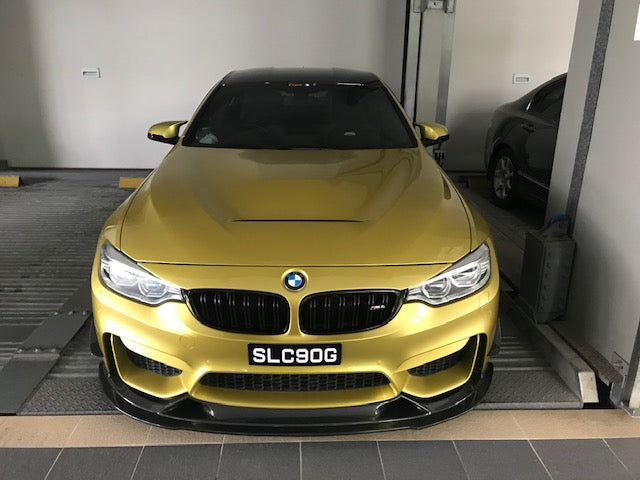 2015-2020 BMW F80/F82 M3/M4 GTS Style Hood
