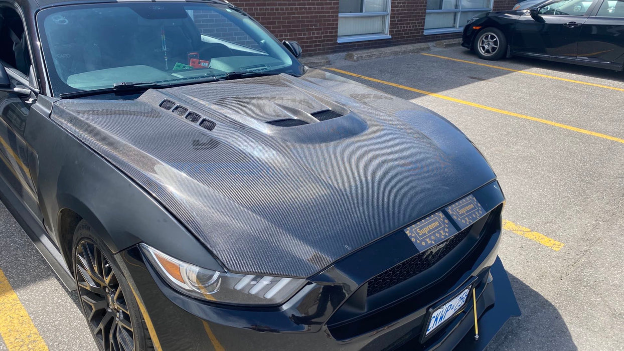 2015-2017 Ford Mustang GTS Style Hood (Carbon Fiber)
