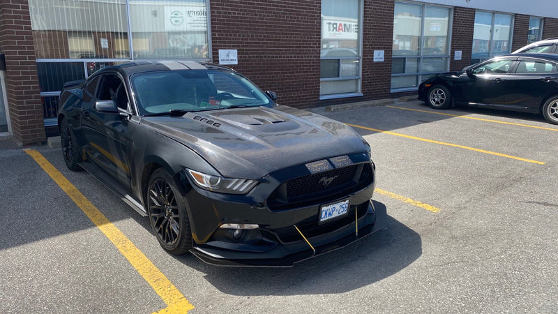 2015-2017 Ford Mustang GTS Style Hood (Carbon Fiber)