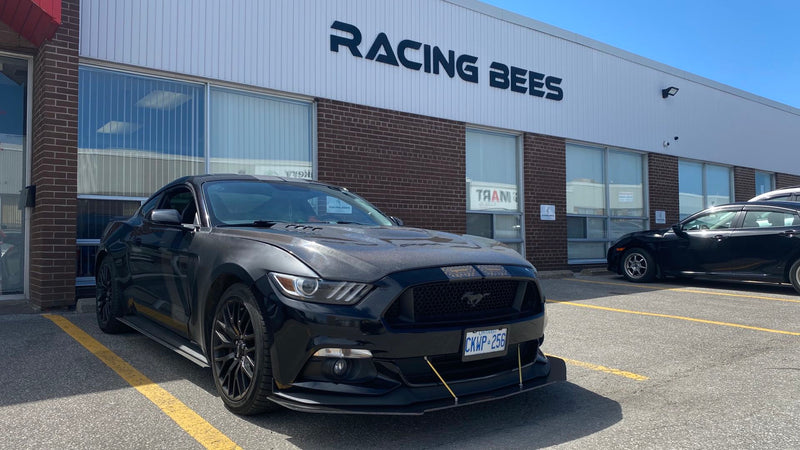 2015-2017 Ford Mustang GTS Style Hood (Carbon Fiber)
